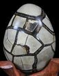 Septarian Dragon Egg Geode - Black Calcite Crystals #33996-4